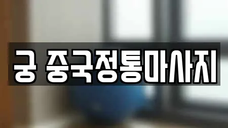 궁 중국정통마사지