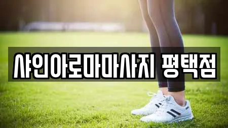 샤인아로마마사지 평택점