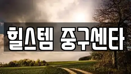 힐스템 중구센타