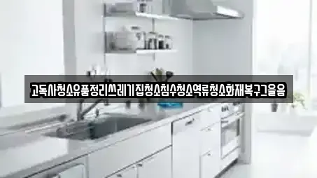 고독사청소유품정리쓰레기집청소침수청소역류청소화재복구그을음