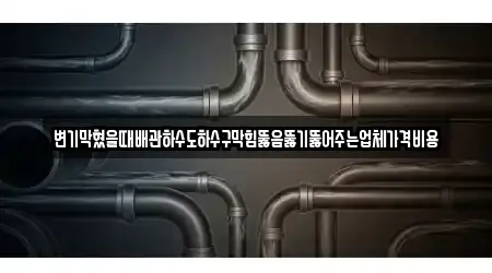 변기막혔을때배관하수도하수구막힘뚫음뚫기뚫어주는업체가격비용