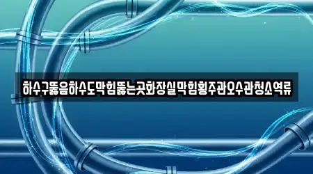 하수구뚫음하수도막힘뚫는곳화장실막힘횡주관오수관청소역류