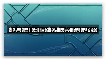 하수구막힘변기싱크대뚫음하수도해빙누수배관막힘역류뚫음