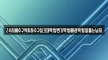 24시배수구역류하수구싱크대막힘변기막힘배관막힘잘뚫는남자