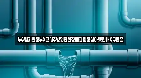 경기도 김포 감정동 바로 배수구 뚫음 3곳 위치 경기도 김포 감정동 바로 배수구 뚫음 3곳 위치