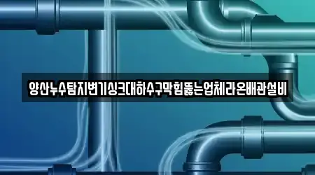 양산누수탐지변기싱크대하수구막힘뚫는업체라온배관설비
