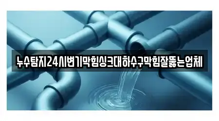 누수탐지24시변기막힘싱크대하수구막힘잘뚫는업체
