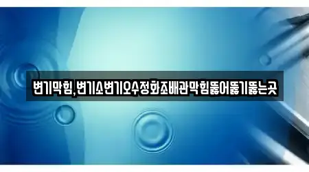 변기막힘,변기소변기오수정화조배관막힘뚫어뚫기뚫는곳