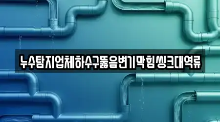 누수탐지업체하수구뚫음변기막힘씽크대역류