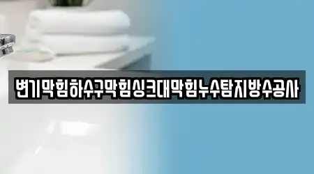 변기막힘하수구막힘싱크대막힘누수탐지방수공사