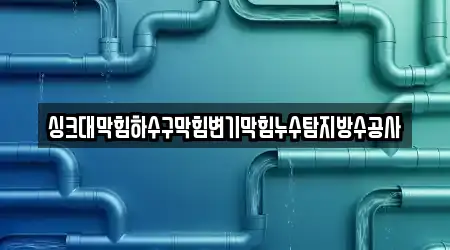 싱크대막힘하수구막힘변기막힘누수탐지방수공사