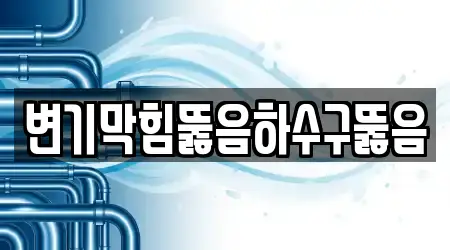 변기막힘뚫음하수구뚫음