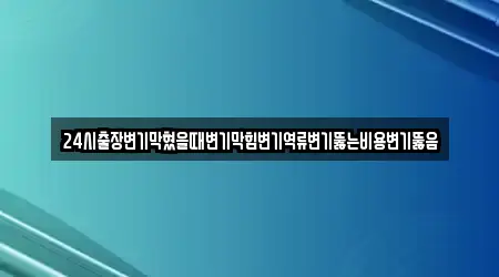 24시출장변기막혔을때변기막힘변기역류변기뚫는비용변기뚫음
