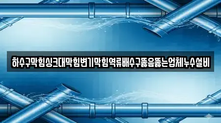 하수구막힘싱크대막힘변기막힘역류배수구뚫음뚫는업체누수설비