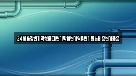 24시출장변기막혔을때변기막힘변기역류변기뚫는비용변기뚫음