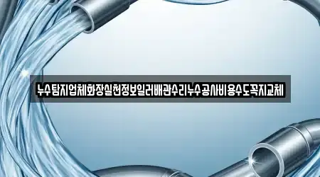 누수탐지업체화장실천정보일러배관수리누수공사비용수도꼭지교체
