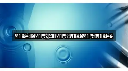 변기뚫는비용변기막혔을때변기막힘변기뚫음변기역류변기뚫는곳
