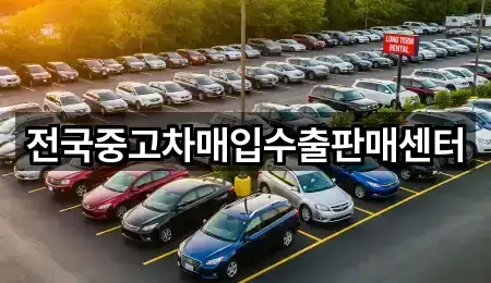 누문동 중고차 5곳 길찾기