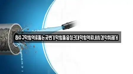 하수구막힘역류뚫는곳변기막힘뚫음싱크대막힘역류내시경악취제거