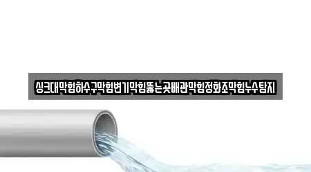 싱크대막힘하수구막힘변기막힘뚫는곳배관막힘정화조막힘누수탐지