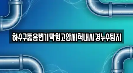 하수구뚫음변기막힘고압세척내시경누수탐지