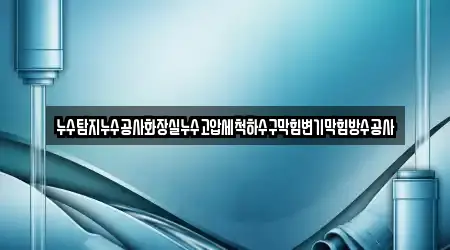 누수탐지누수공사화장실누수고압세척하수구막힘변기막힘방수공사