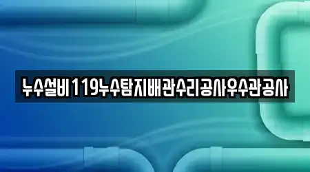 누수설비119누수탐지배관수리공사우수관공사
