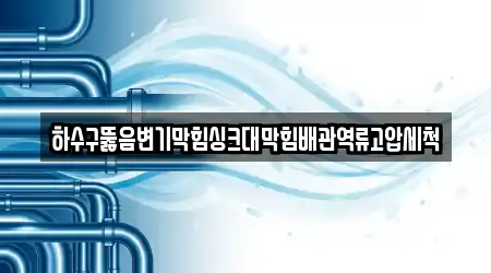 하수구뚫음변기막힘싱크대막힘배관역류고압세척