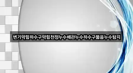 변기막힘하수구막힘천정누수배관누수하수구뚫음누수탐지