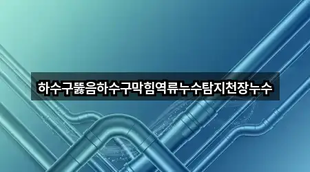 하수구뚫음하수구막힘역류누수탐지천장누수