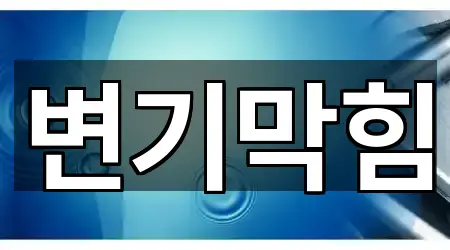 변기막힘