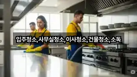 전남 대서면 청소업체 근처 4곳 안내