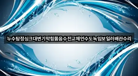 누수탐정싱크대변기막힘뚫음수전교체언수도녹임보일러배관수리