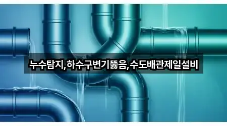 누수탐지,하수구변기뚫음,수도배관제일설비