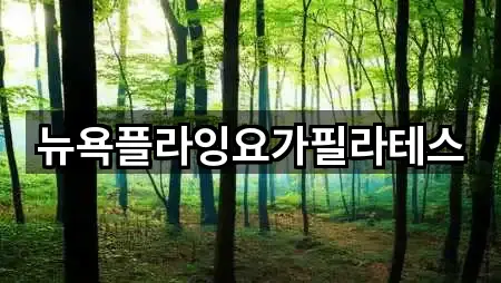 뉴욕플라잉요가필라테스