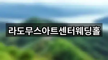 라도무스아트센터웨딩홀