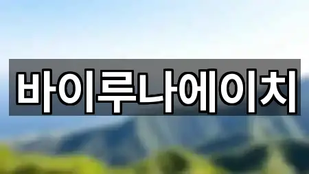 바이루나에이치