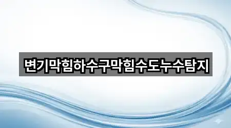변기막힘하수구막힘수도누수탐지