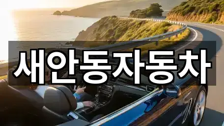 새안동자동차