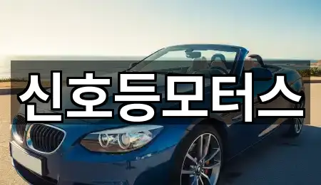 우동 중고차 네이버지도 5곳