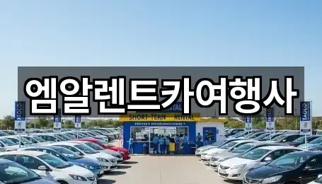 엠알렌트카여행사