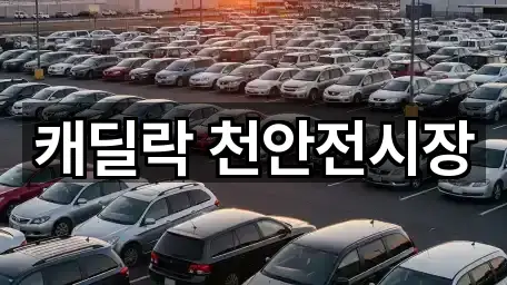 캐딜락 천안전시장