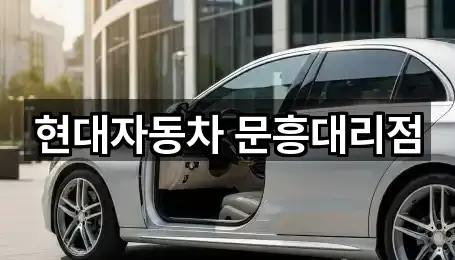 현대자동차 문흥대리점