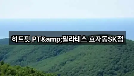 경상북도 포항 남구 필라테스 가까운 곳 5곳