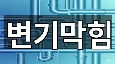 초간편 조회: 경기도 평택시 신대동 변기막힘 5곳