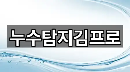 누수탐지김프로