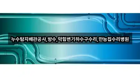 누수탐지배관공사,방수,막힘변기하수구수리,만능집수리병원