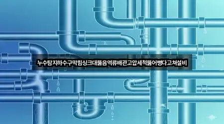 누수탐지하수구막힘싱크대뚫음역류배관고압세척뚫어뻥다고쳐설비