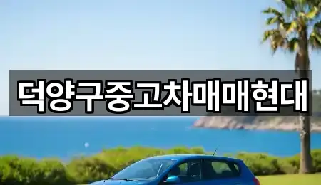 능곡동 중고차 5곳 지도로 확인