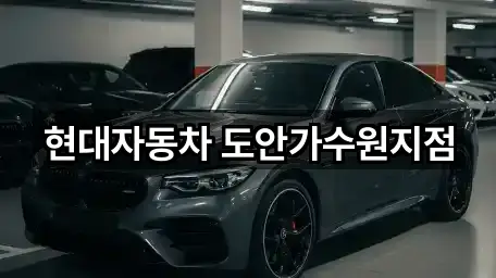 현대자동차 도안가수원지점